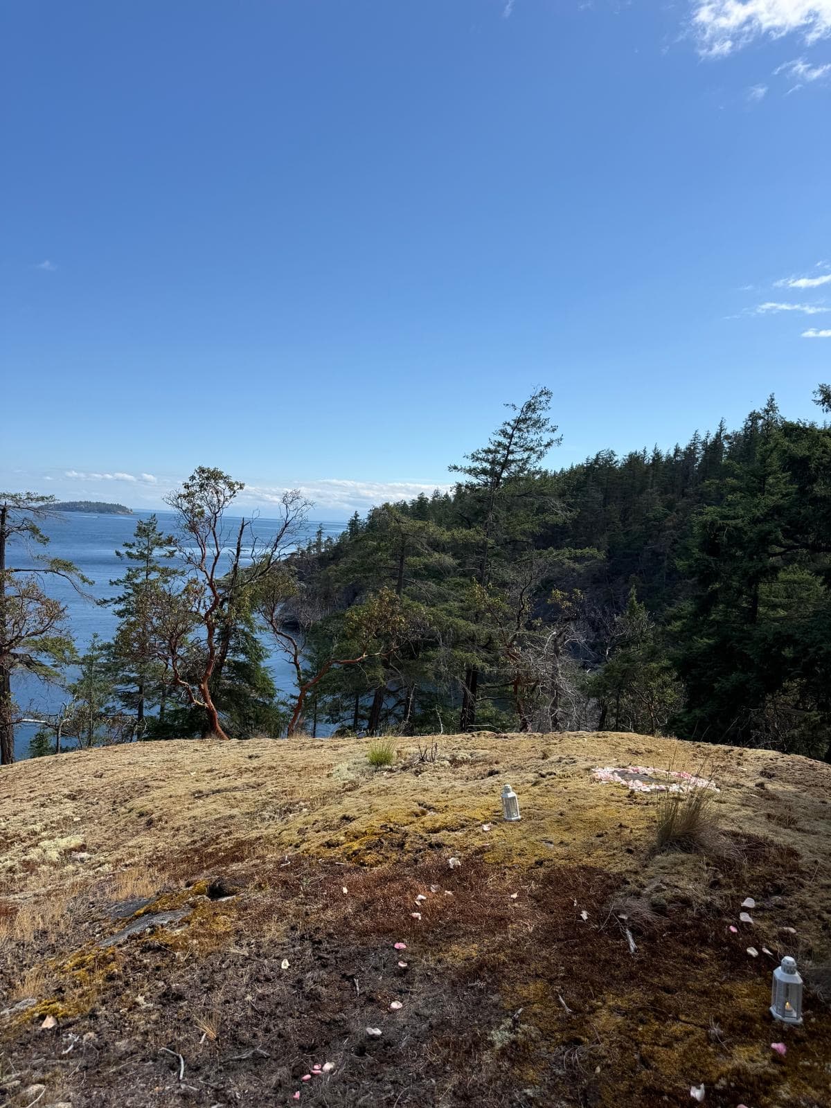 The bluff where Joey and Hadley got engaged: moss and rock above the water, arbutus and fir along the shoreline.